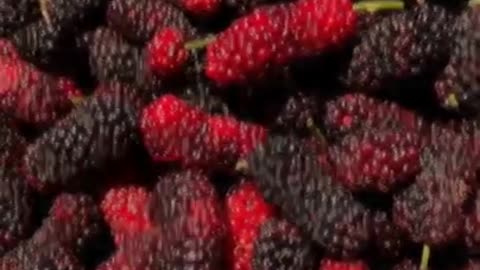 Four great benefits of eating mulberry