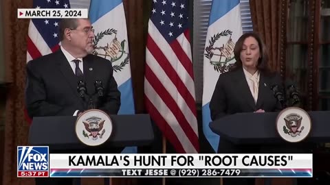 "Who was really running the show?" Hawley asks the Democrats.