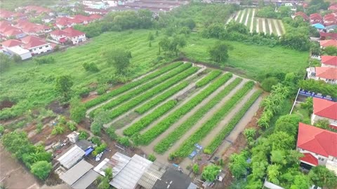 The Living Garden: Guide to Organic Growth, Sustainable Growing Solutions, Natural Garden Wisdom