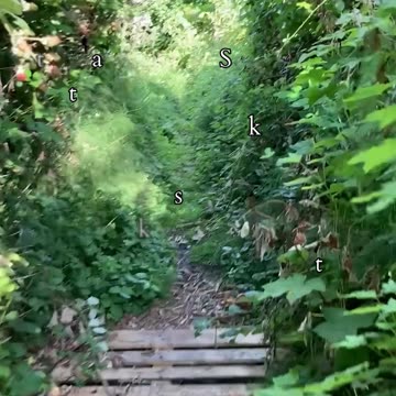 The Awakening Of Purpose | Path and Tarot Reading