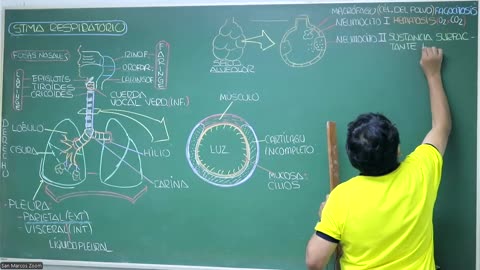 VONEX REPASO 2025 - 1 | Semana 04 | Anatomía