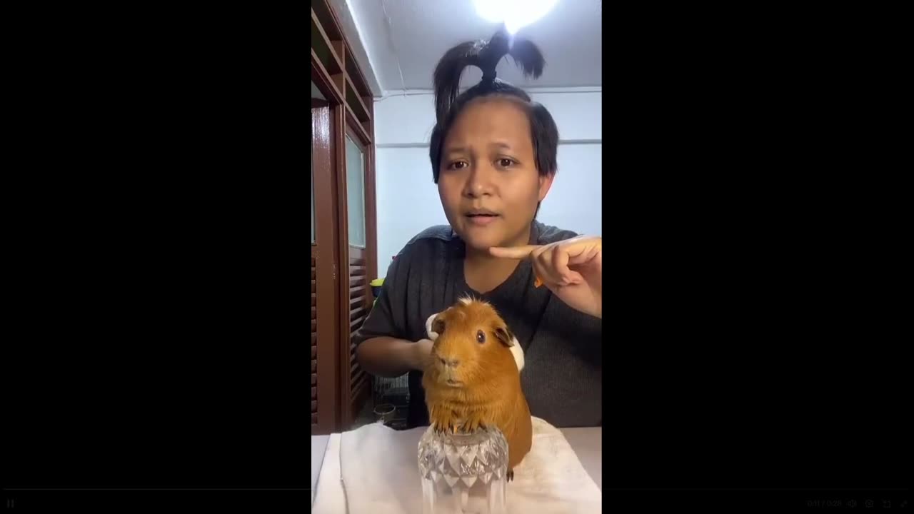 Do you think a DNA Test is needed lol