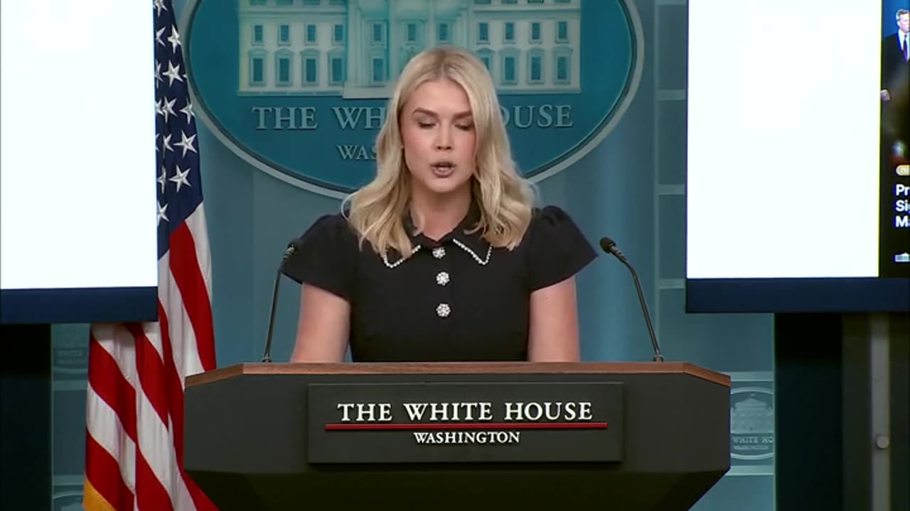 Karoline Leavitt Reveals What Officers Found On Night One Of Trump's D.C. Crackdown