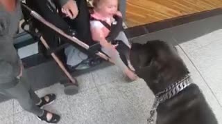 Interesting social experiment.