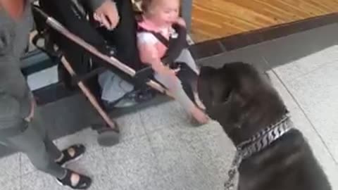 Interesting social experiment.