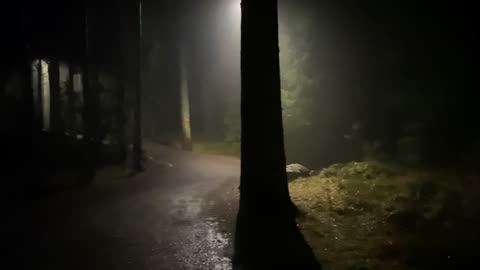 After Dark - Human Archive