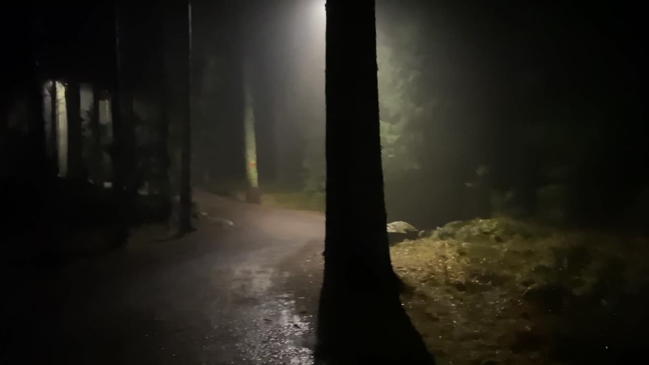 After Dark - Human Archive