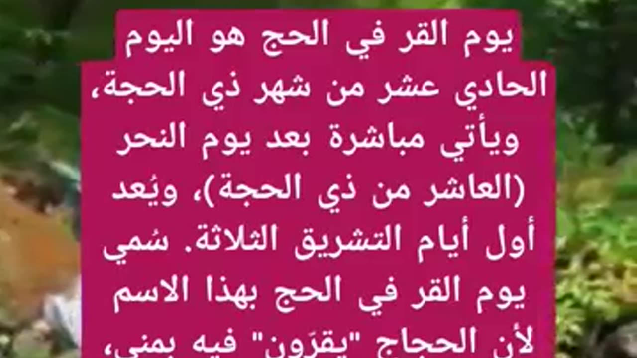 ما هو يوم القر في الحج؟