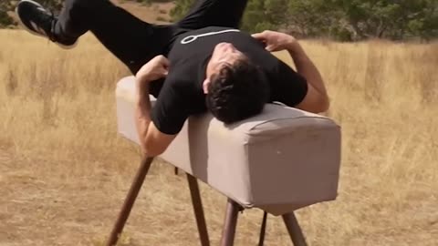 If Animals Did Parkour (Compilation)