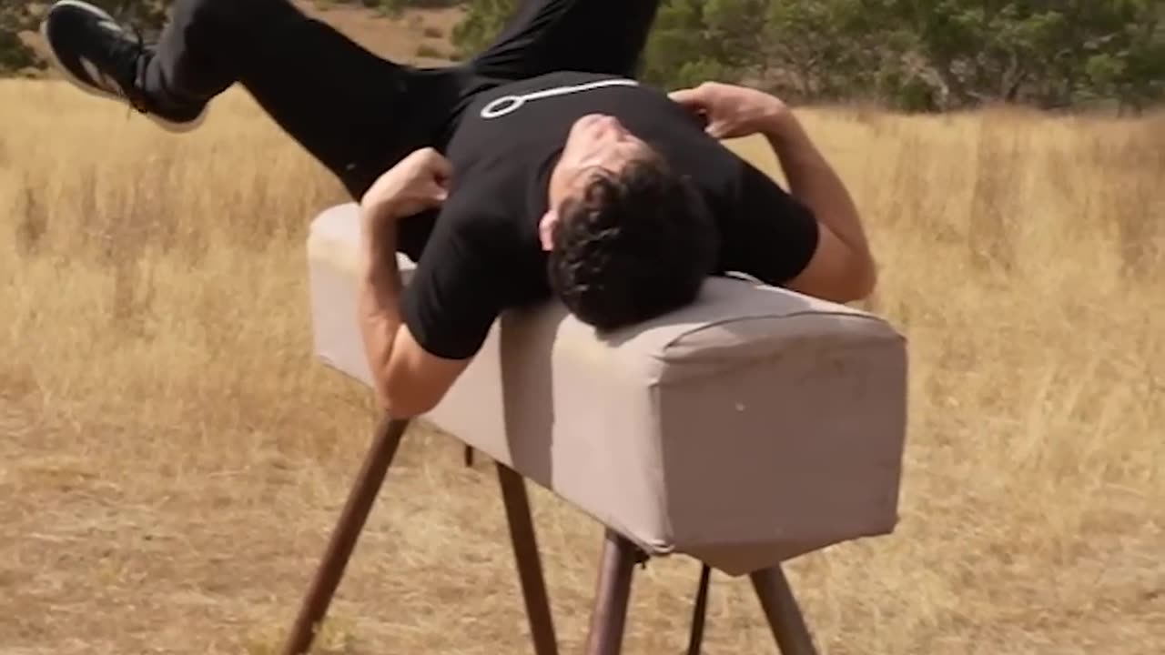 If Animals Did Parkour (Compilation)
