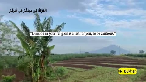Partly about the Islamic religion 30