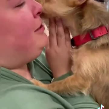 Is this real? What a great idea.