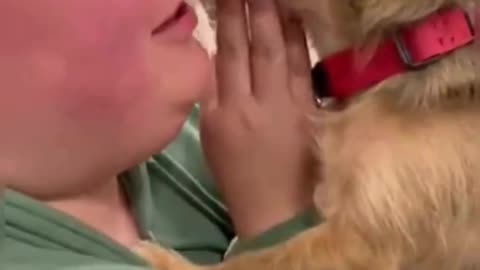 Is this real? What a great idea.