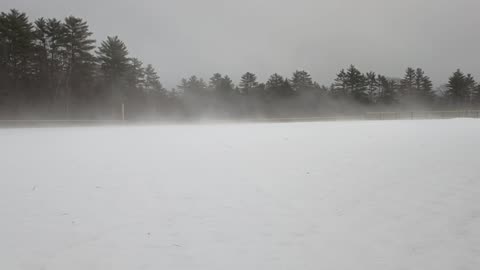 Snow Fog