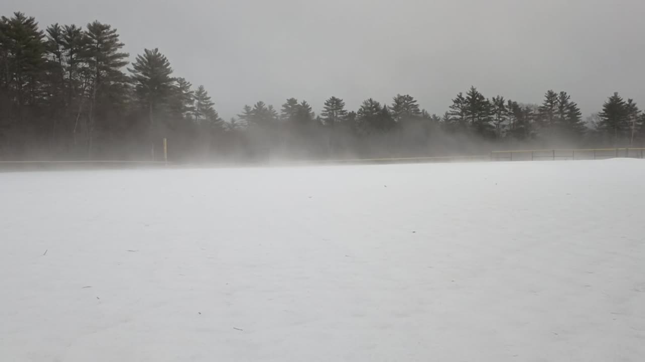 Snow Fog