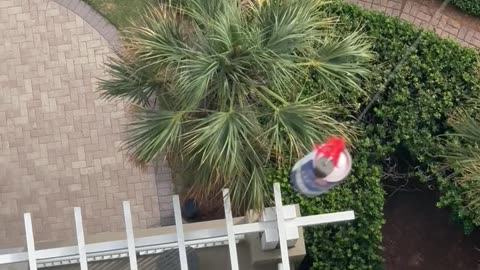 Balcony Beer Fishing