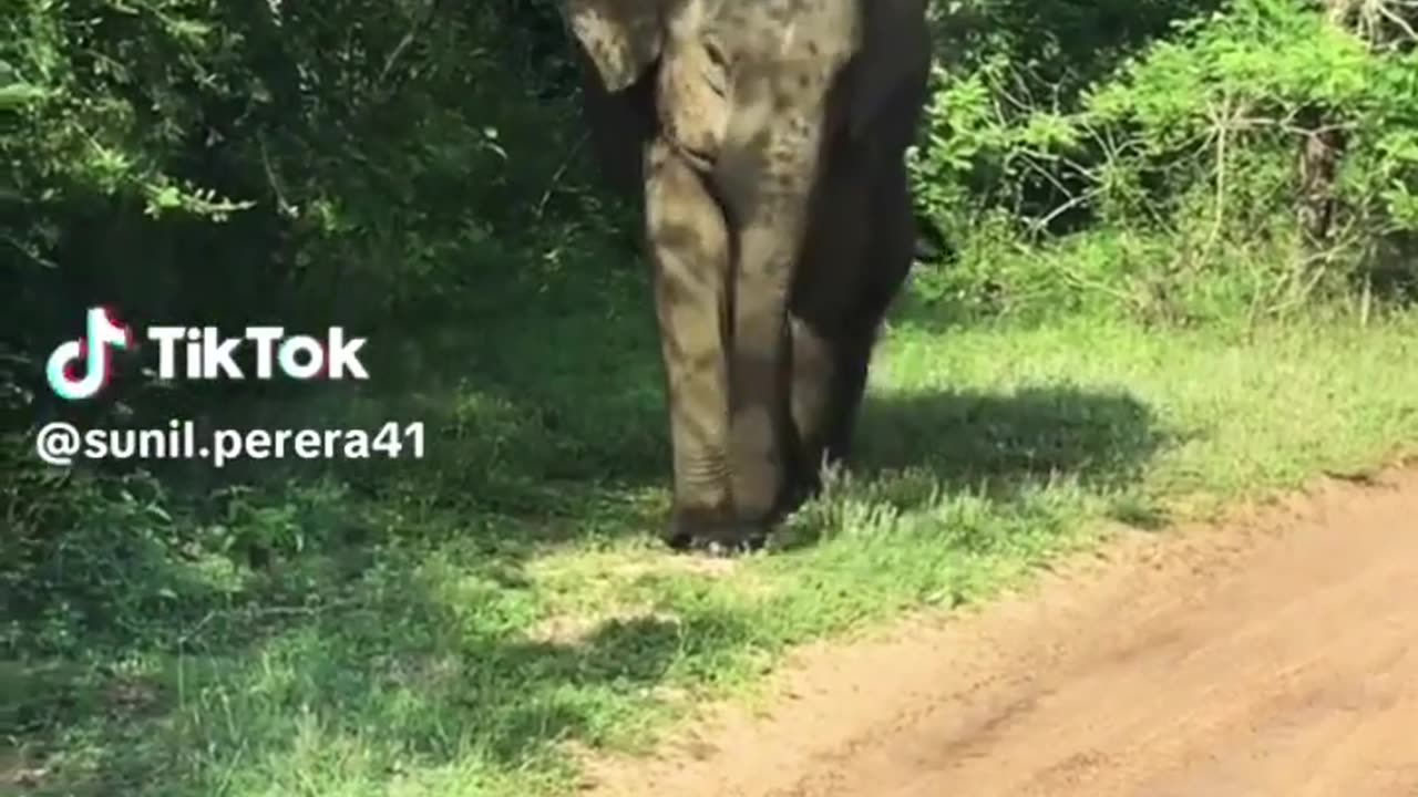 visit sri lanka