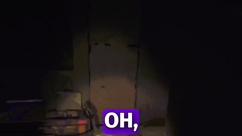 Don't Make the Duck Mad! #shorts #twitch