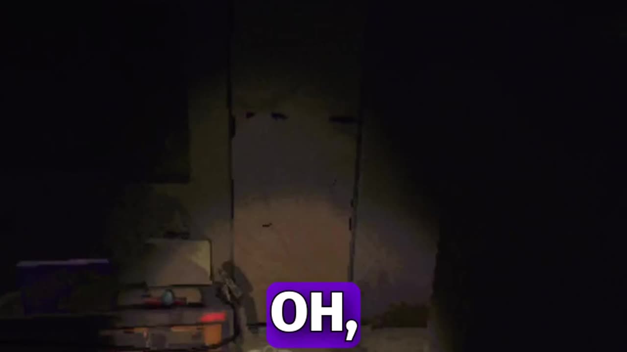 Don't Make the Duck Mad! #shorts #twitch