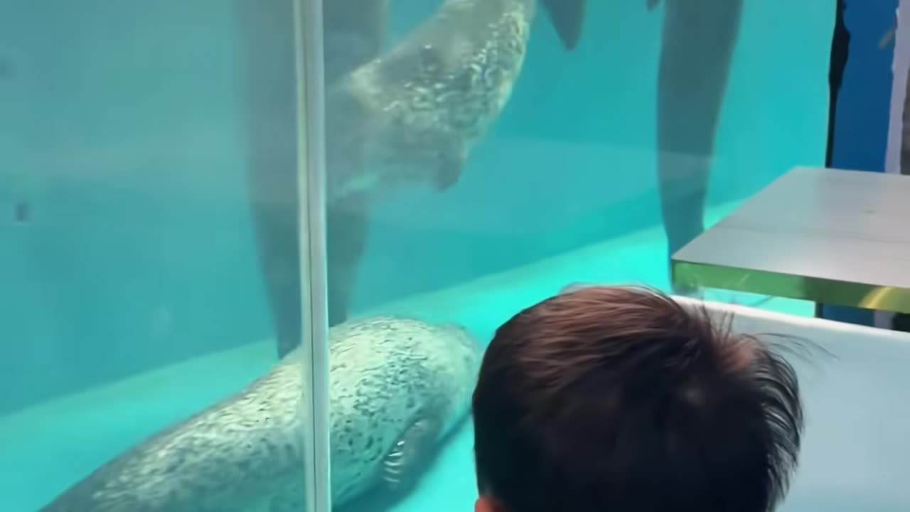 ✨🤯 This Simple Kitchen Hack Will Change How You Cook! | LifeHacksDaily