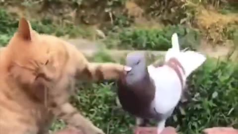 Best friends.. 😻😂