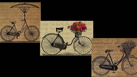The Pushbike Song