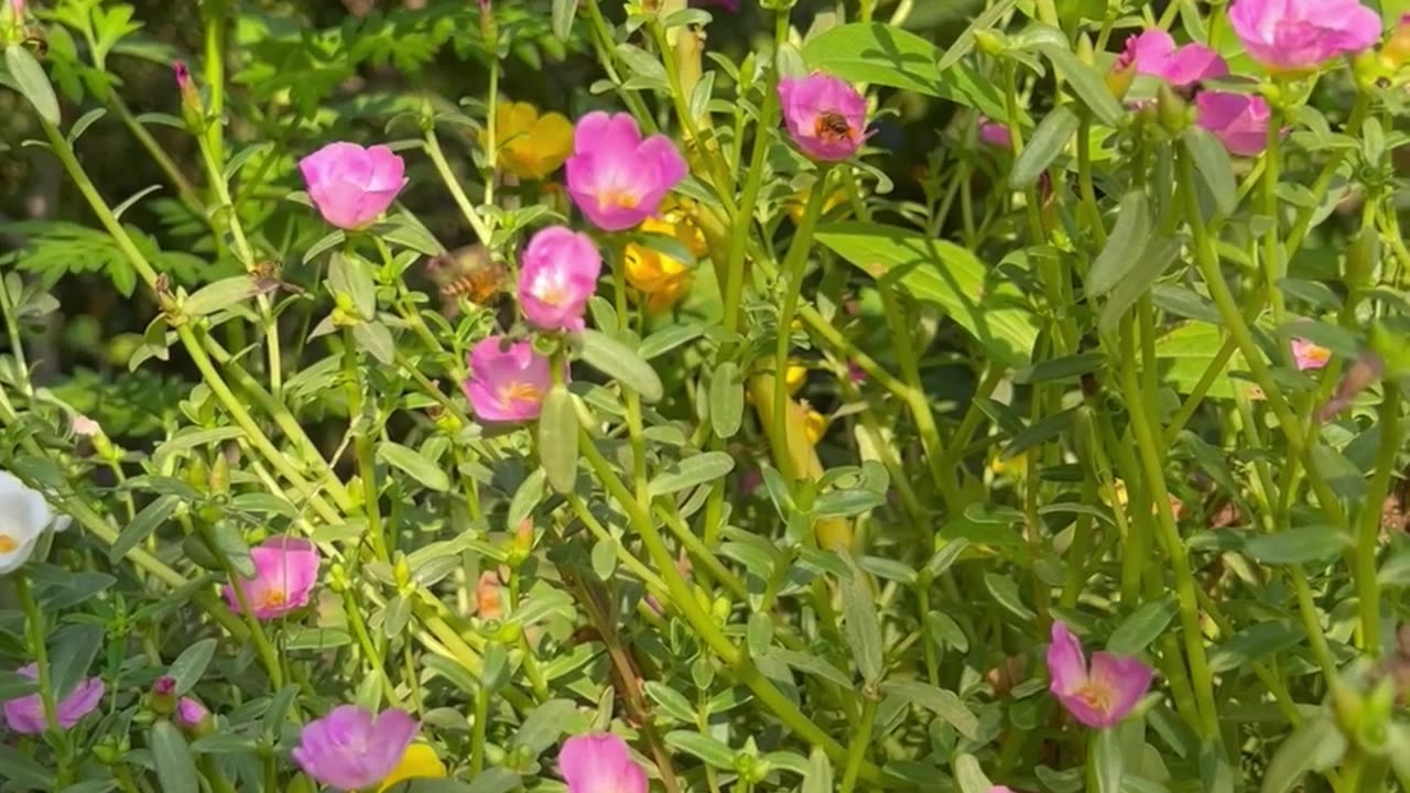 Always Stay Positive No Matter What Happens