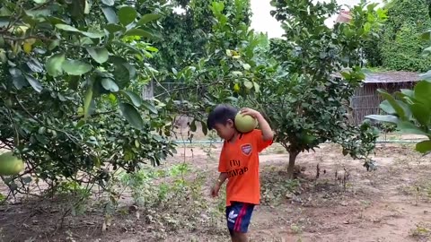 Seyhak Pick Sweet Pomelo - Prepare Stir Fried Noodle For Family - Sreypov Life Show
