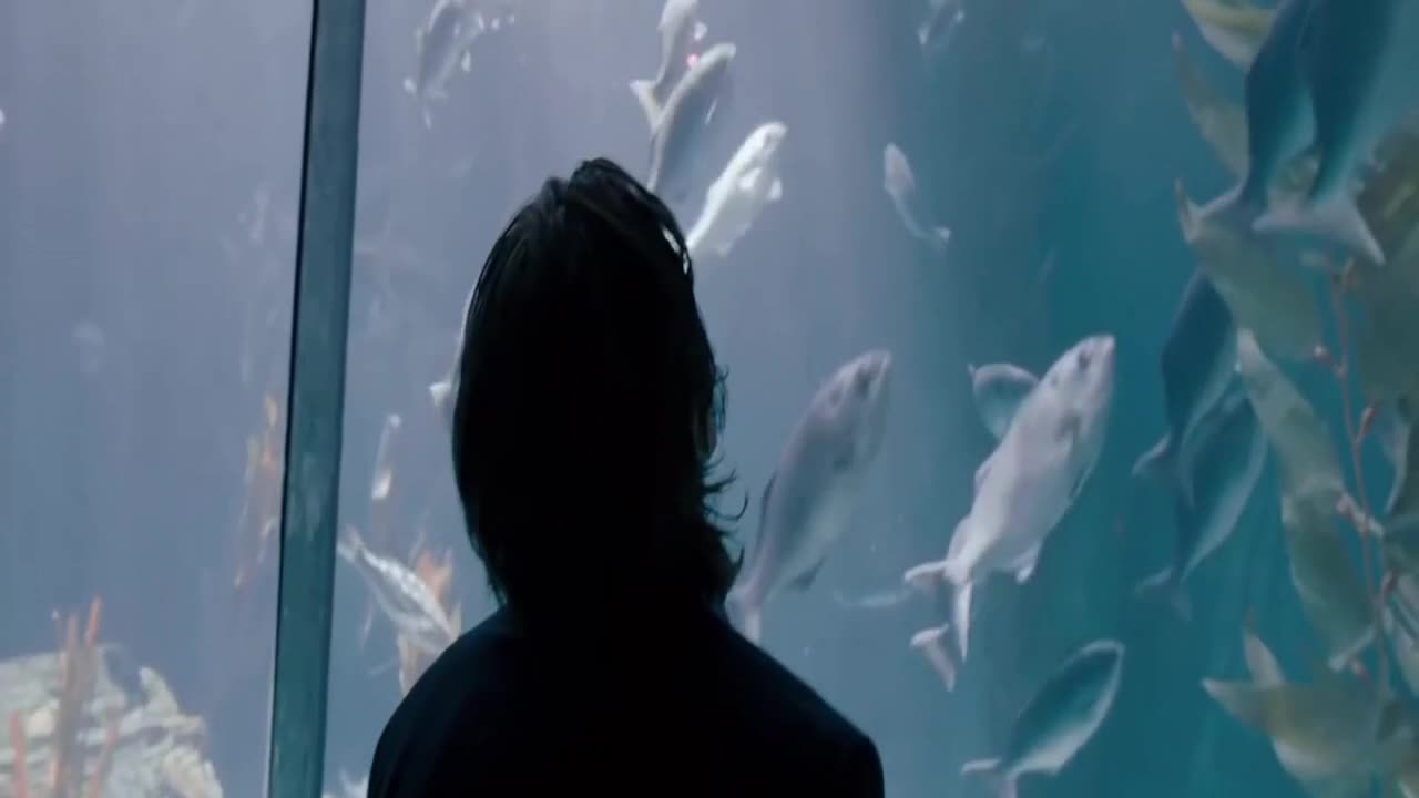 Just A Boy Again Box Of Frogs