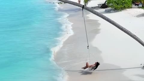 enjoy the beauty of the beach
