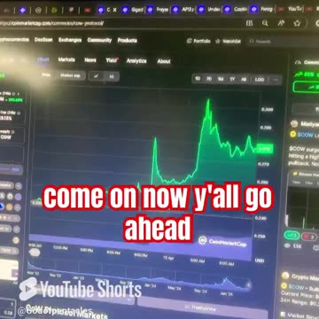 cow protocol cow crypto news today! #fyp