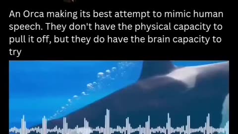 Did you know...