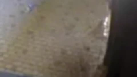 Video footage of an Islamic terrorist carrying out an attack on The Black Forge