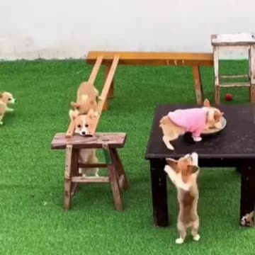 Can’t stop watching.. 😅