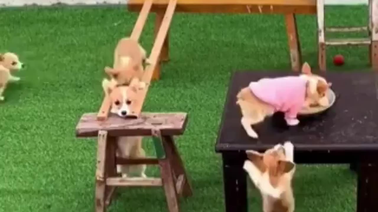 Can’t stop watching.. 😅