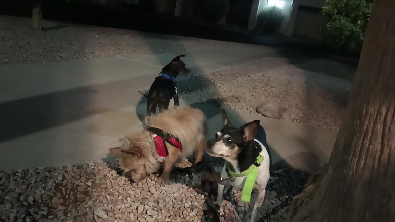 VID_20250628_211233948
