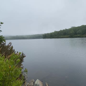 DO YOU LOVE QUIET WALKS BY THE LAKE?