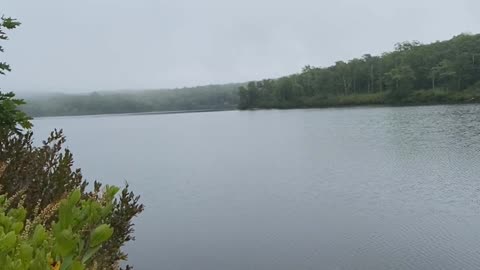 DO YOU LOVE QUIET WALKS BY THE LAKE?