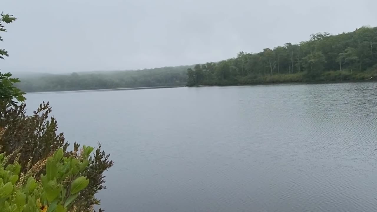 DO YOU LOVE QUIET WALKS BY THE LAKE?