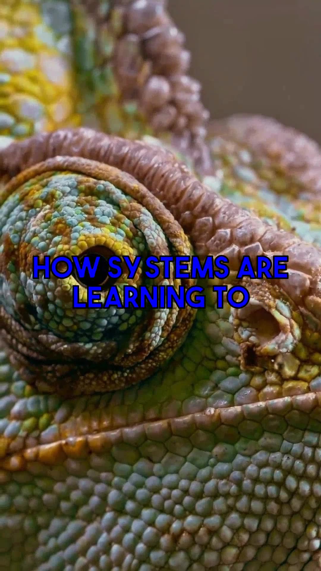 Insights into AI Guided Python Practice Platforms