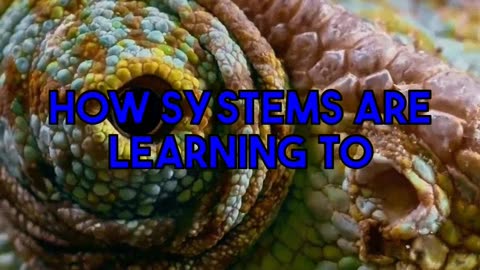Insights into AI Guided Python Practice Platforms