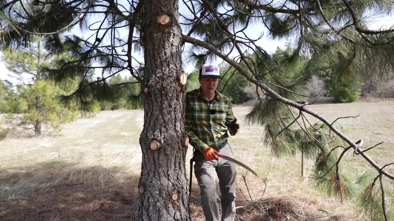 "Life Hack You Wish You Knew Sooner! | Why Didn’t I Think of That?"