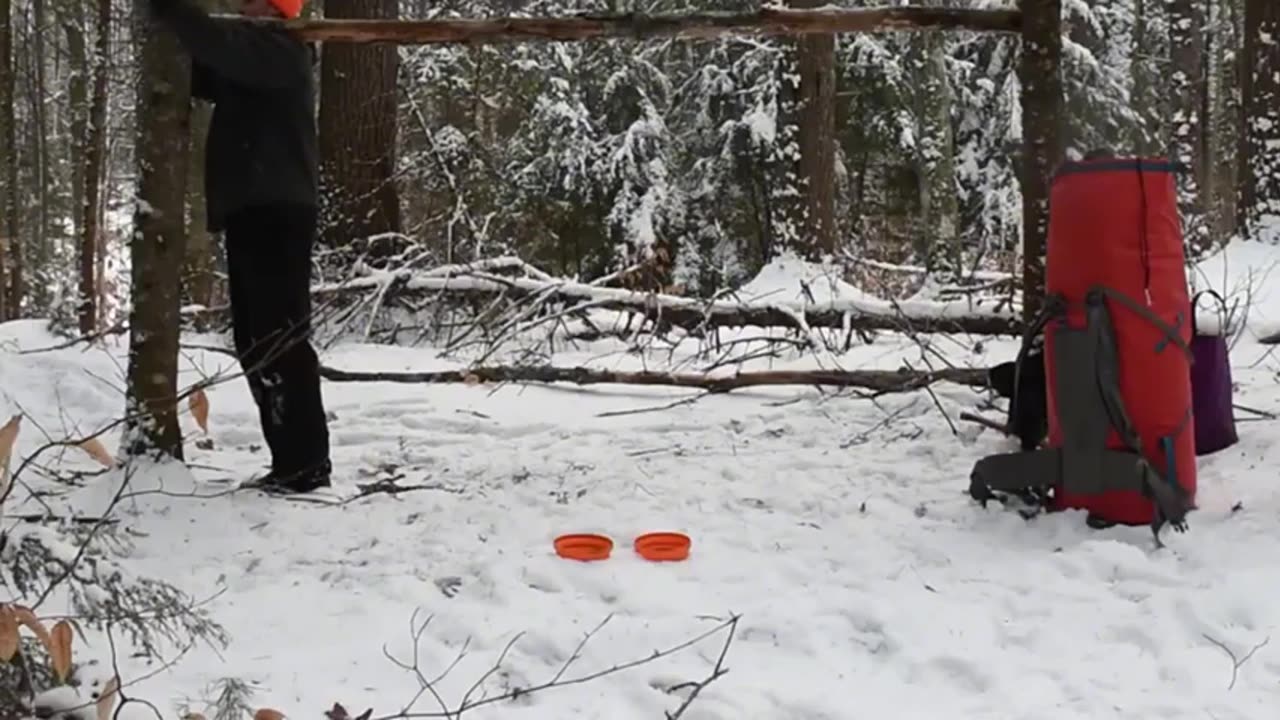 I Survived a Deadly Blizzard | Winter Bushcraft Camping With My Dog