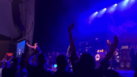 Perry Farrell tells Boston to F themselves at show then punches Dave Navarro LIVE from row 2