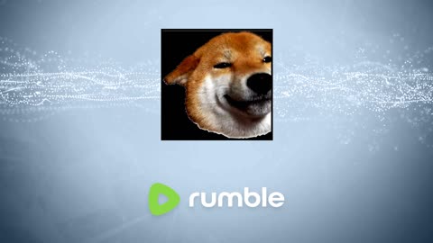 Quick Stream TEST