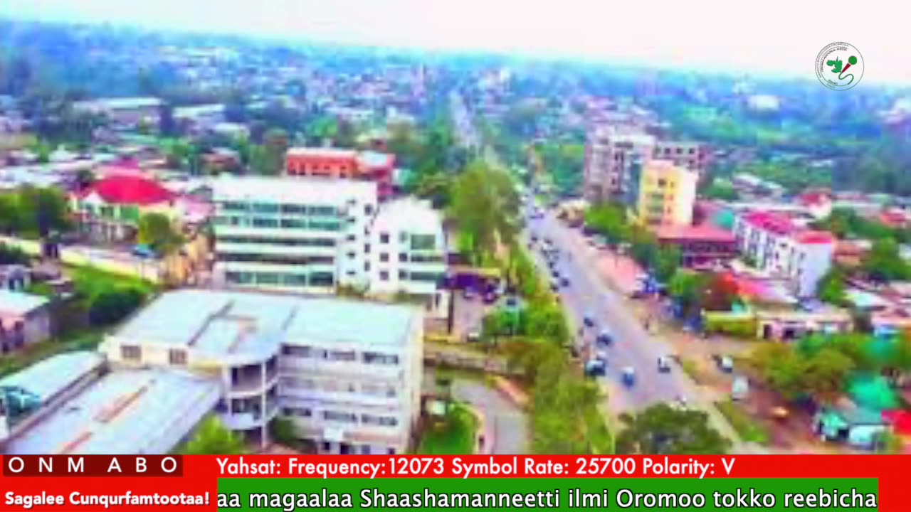 Oduu Galgala ONM-ABO Bitootessa 30-2025 itti dhiyaadhaa!