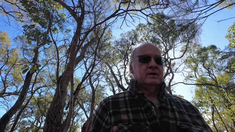 Five Tips for Hiking