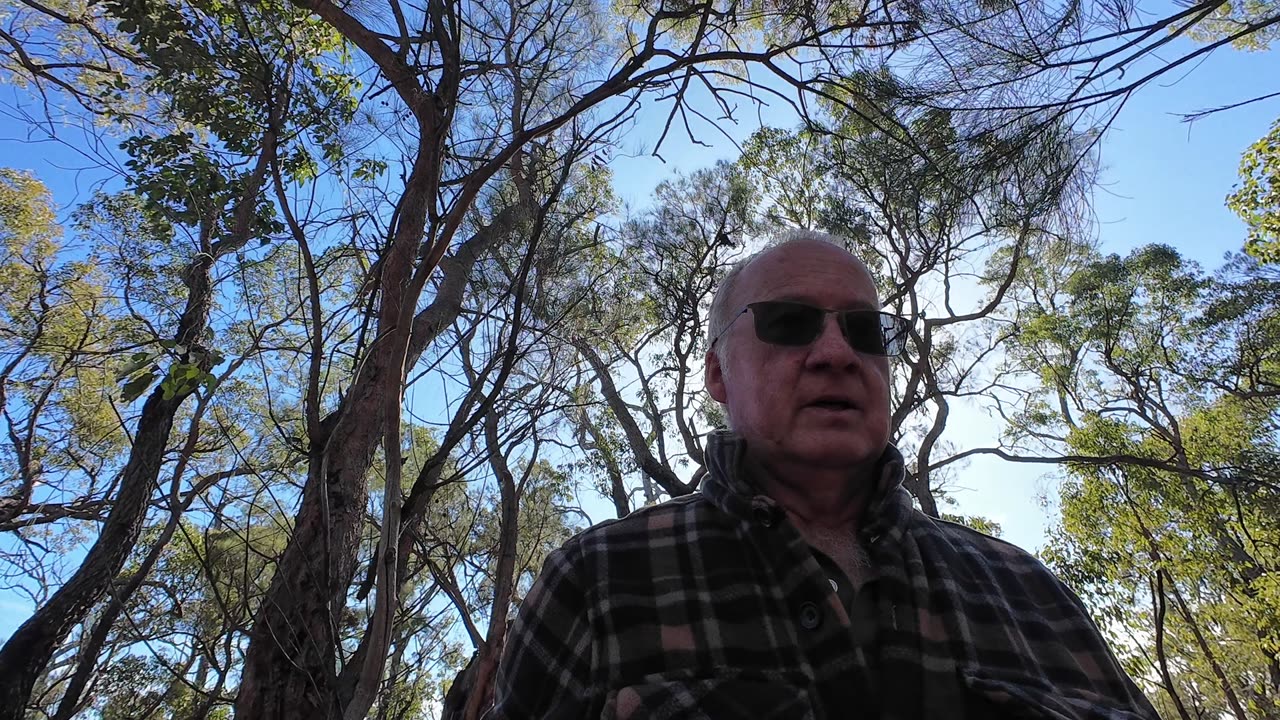 Five Tips for Hiking