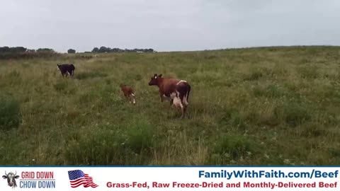 Family with Faith: Content You Can Trust 24X7