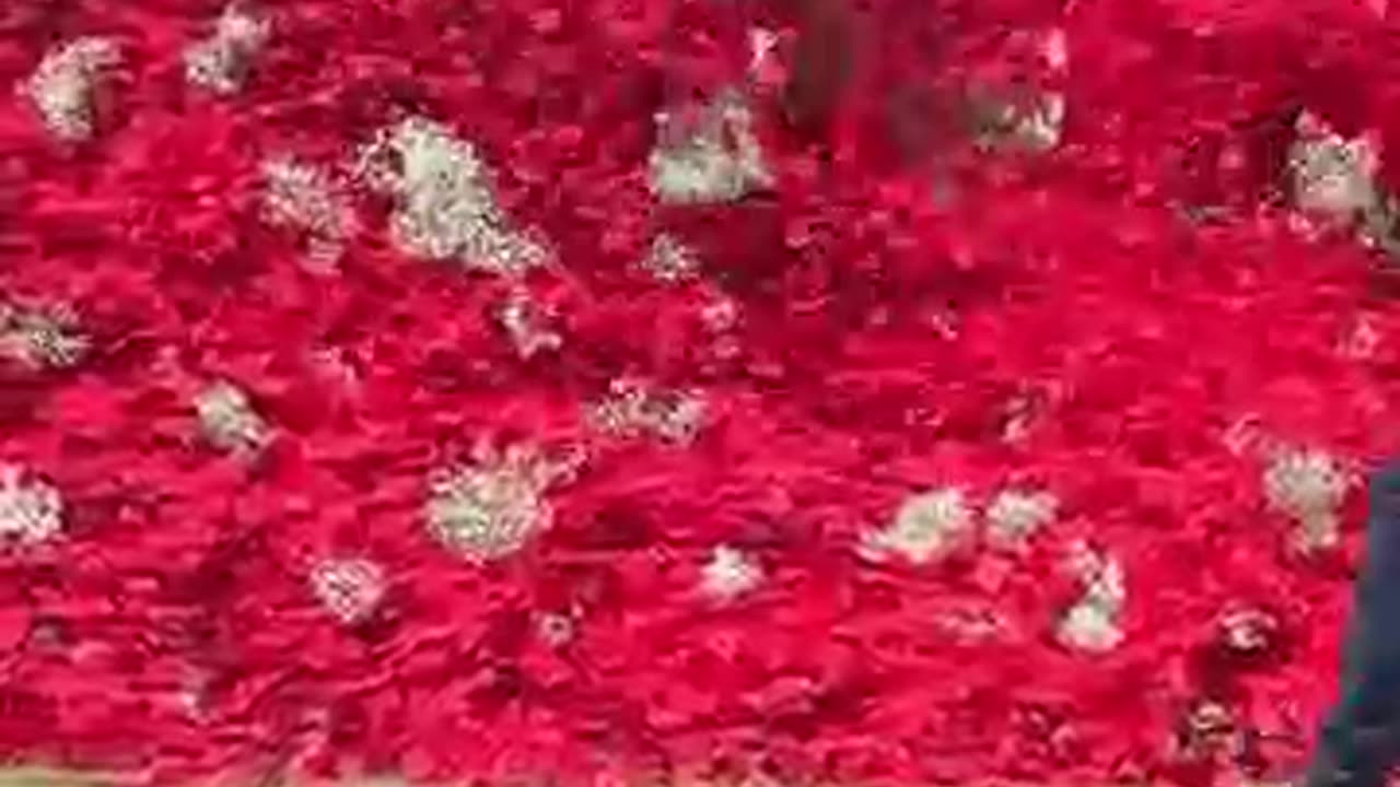 Find this key and win $10,000